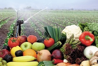 Advanced Certificate in Organic Food Production Course Online