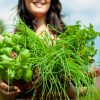 Advanced Certificate in Herb Production Course Online
