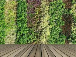 Green Walls and Roofs Course Online
