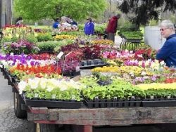 Horticultural Marketing Course Online