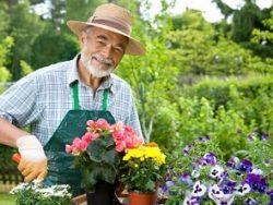 Horticultural Therapy Course Online