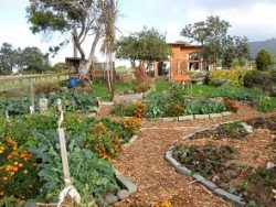 Permaculture Systems Course Online