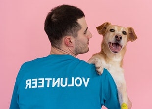 Pet Therapy (Animal-assisted) Course Online